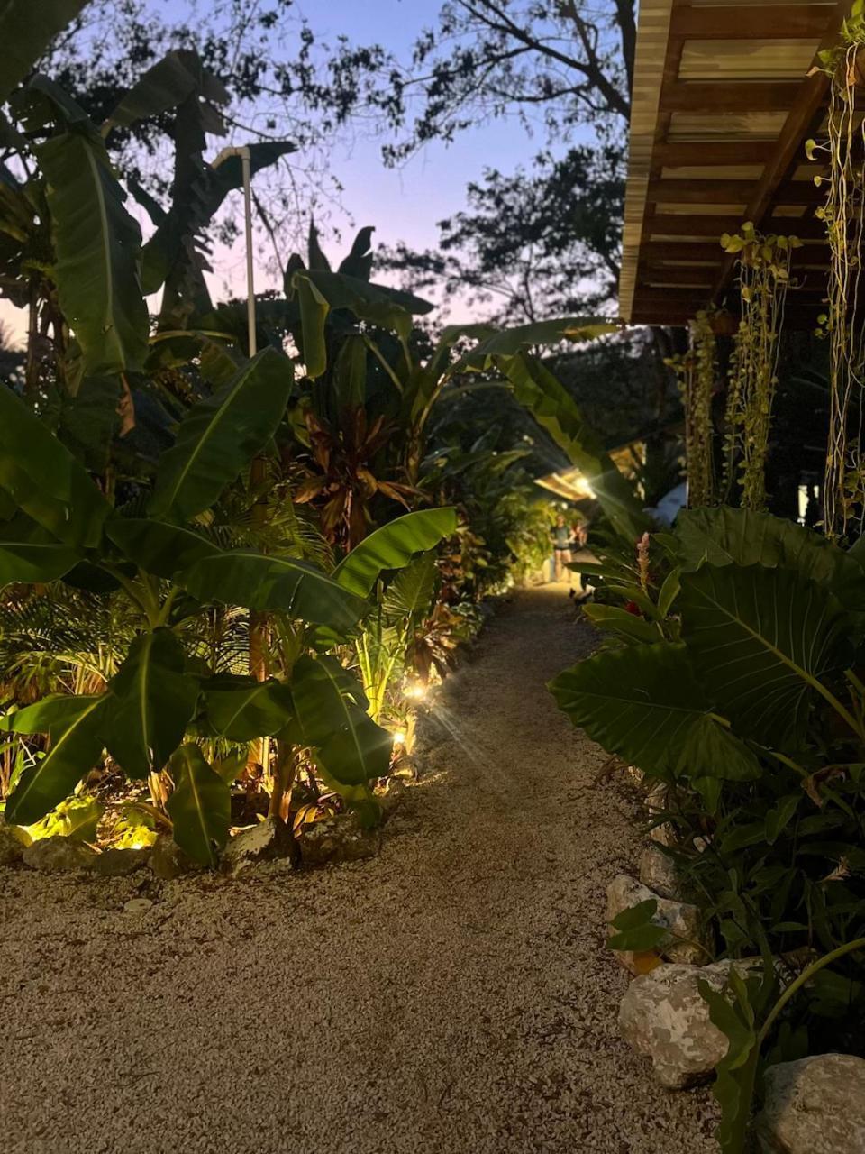 Dream Surf House Santa Teresa Hostel Playa Hermosa Cobano Exterior foto