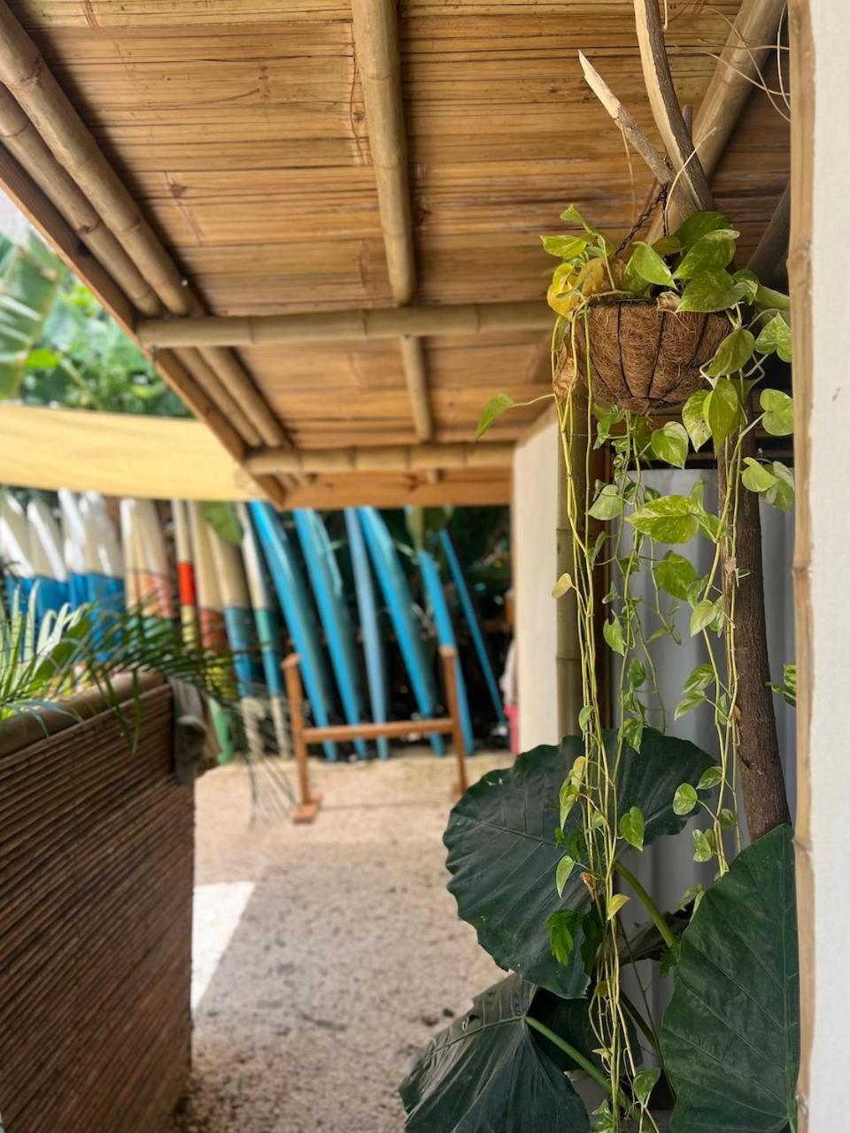 Dream Surf House Santa Teresa Hostel Playa Hermosa Cobano Exterior foto