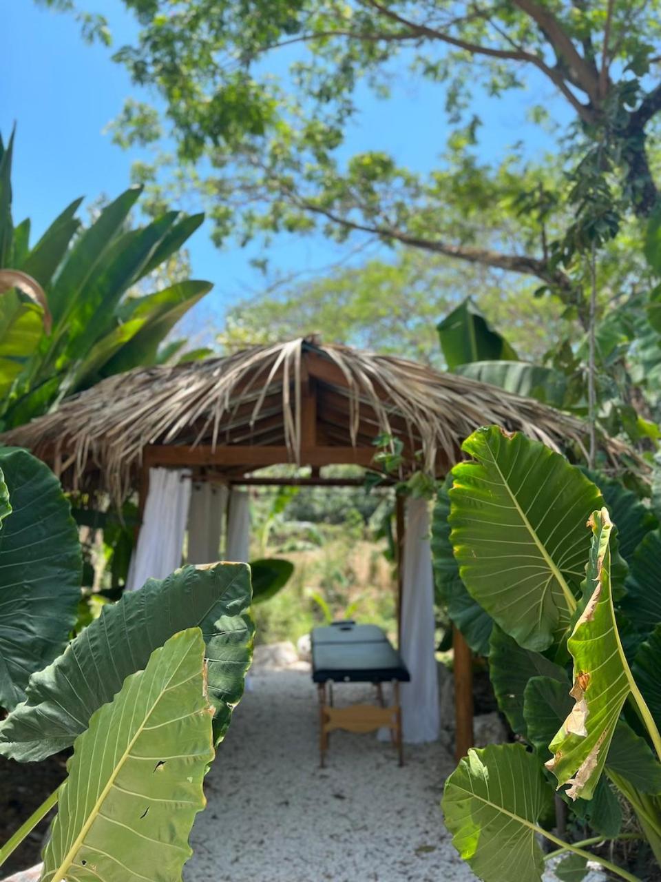 Dream Surf House Santa Teresa Hostel Playa Hermosa Cobano Exterior foto