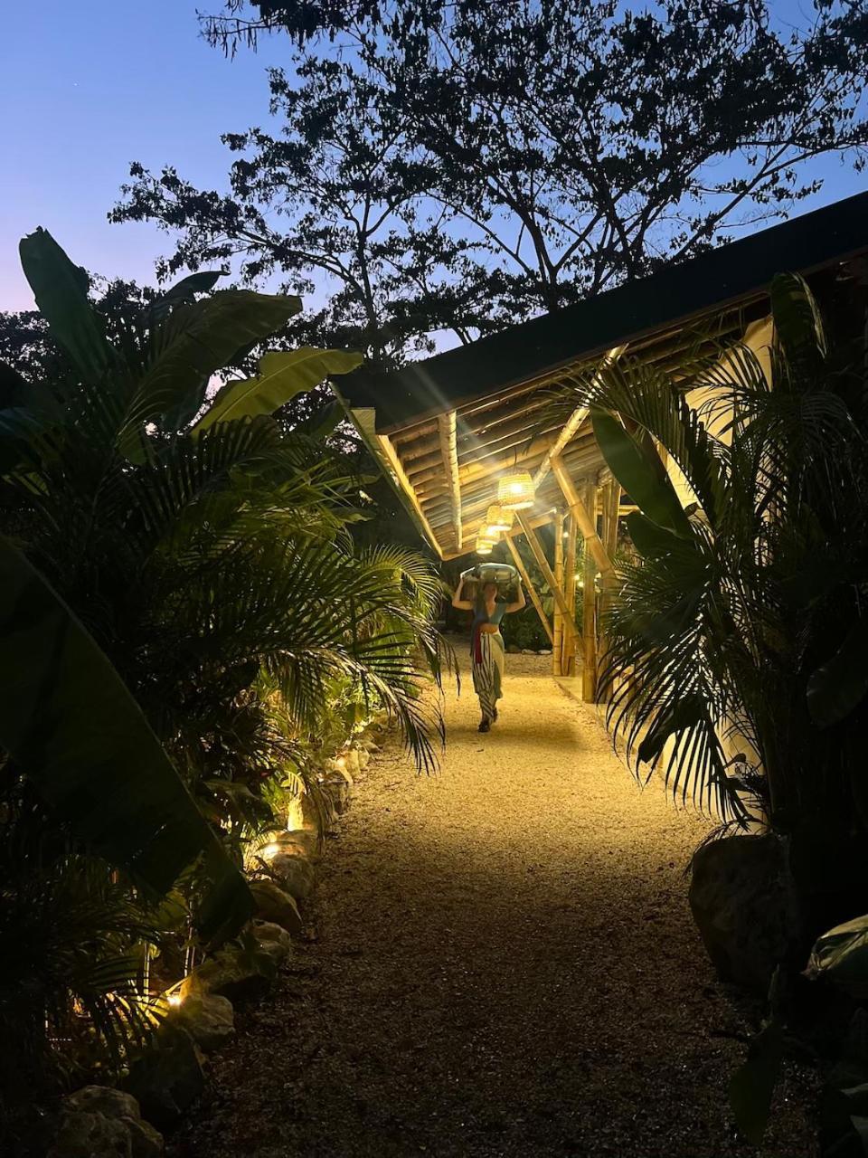 Dream Surf House Santa Teresa Hostel Playa Hermosa Cobano Exterior foto