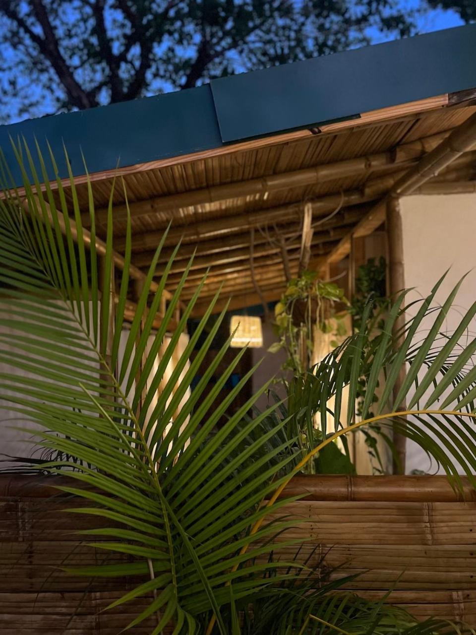 Dream Surf House Santa Teresa Hostel Playa Hermosa Cobano Exterior foto