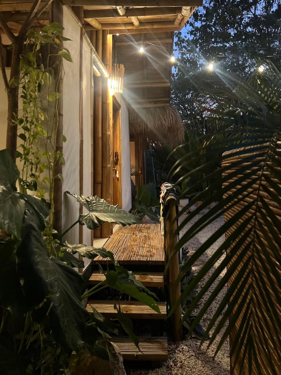 Dream Surf House Santa Teresa Hostel Playa Hermosa Cobano Exterior foto