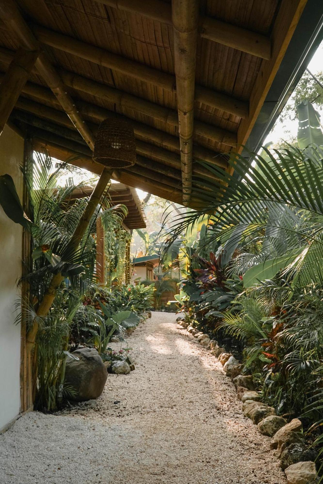 Dream Surf House Santa Teresa Hostel Playa Hermosa Cobano Exterior foto