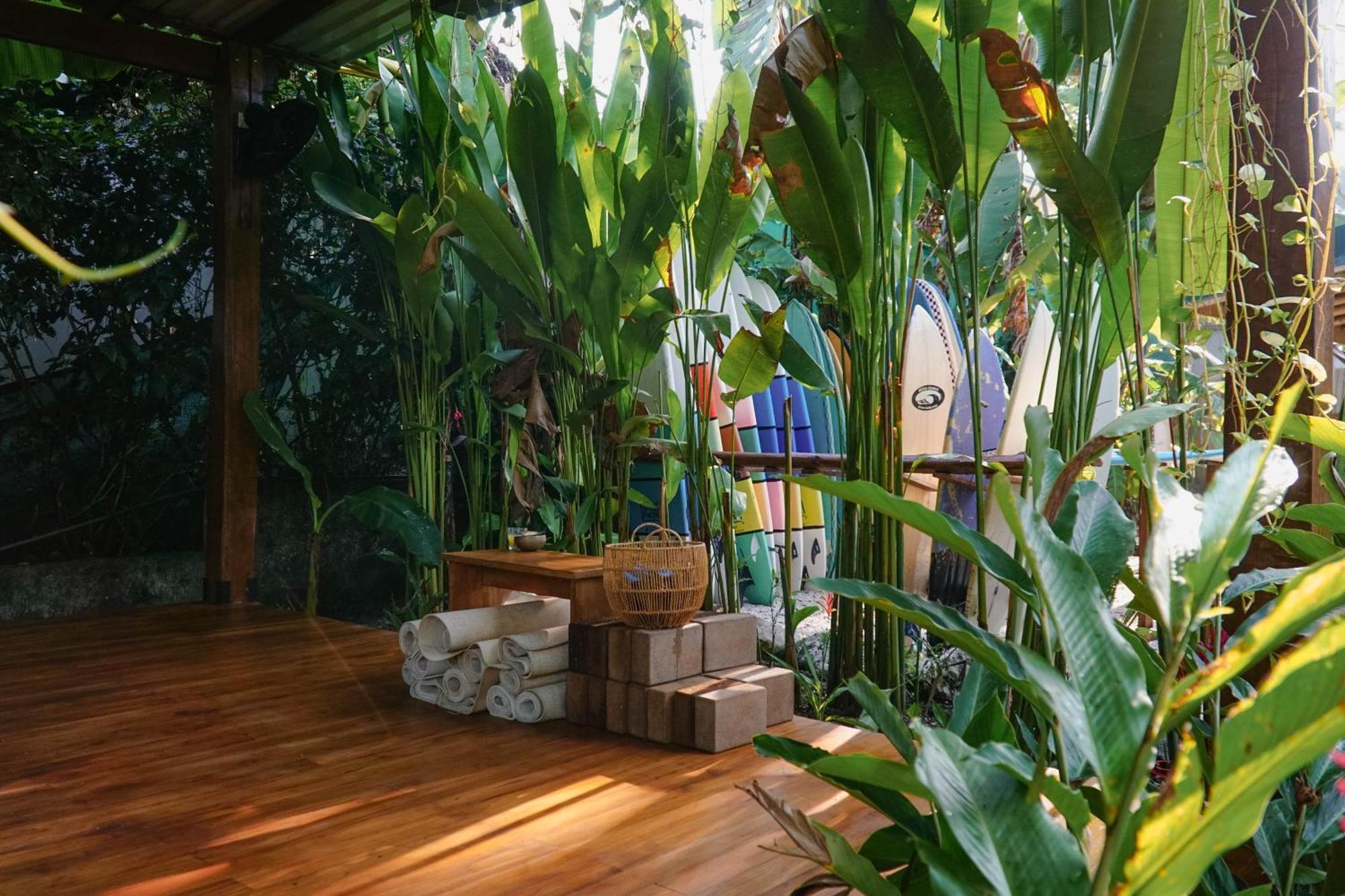 Dream Surf House Santa Teresa Hostel Playa Hermosa Cobano Exterior foto