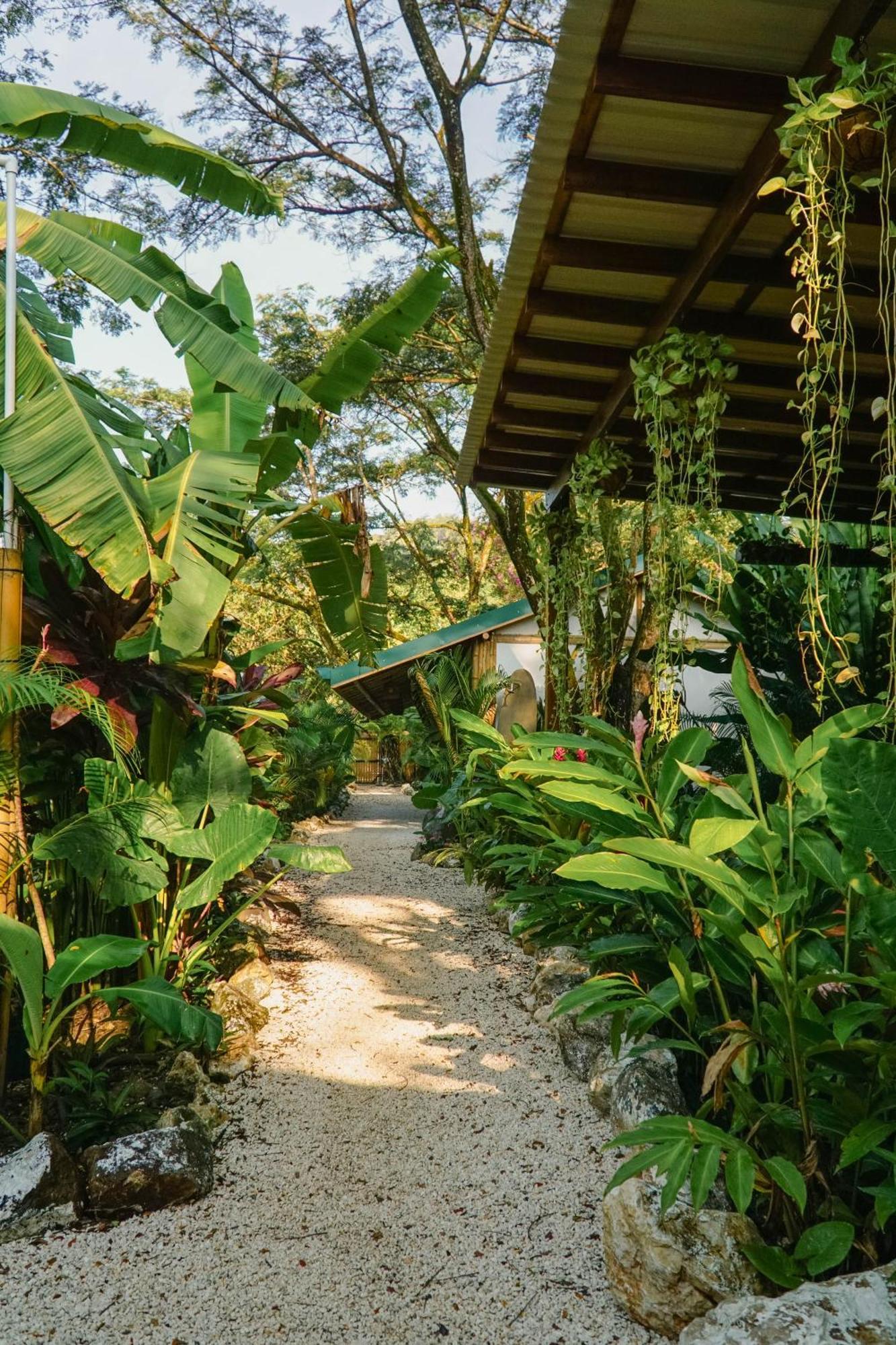 Dream Surf House Santa Teresa Hostel Playa Hermosa Cobano Exterior foto