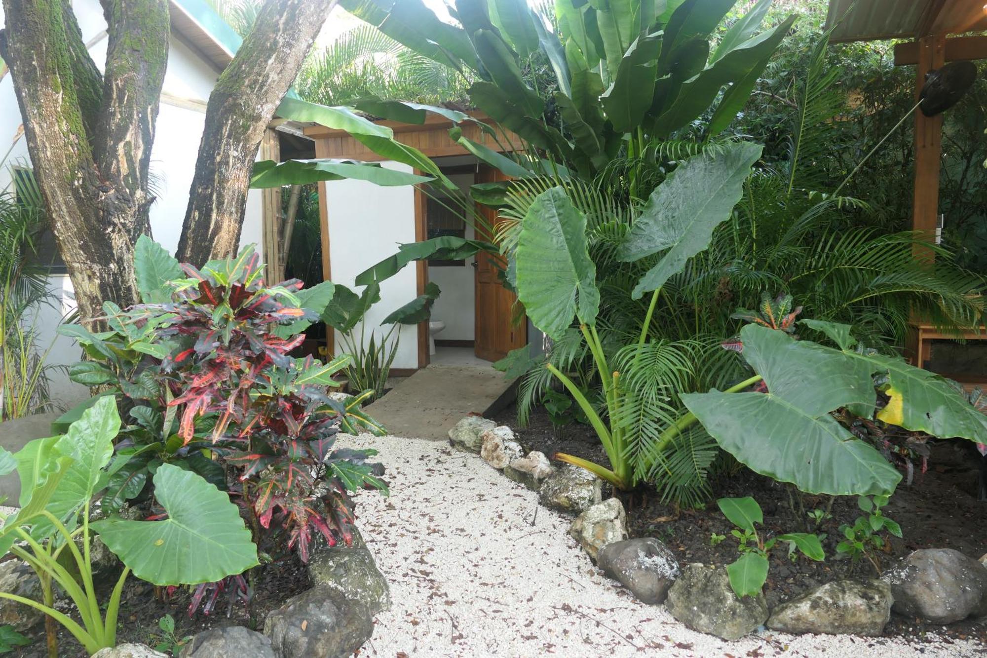 Dream Surf House Santa Teresa Hostel Playa Hermosa Cobano Exterior foto