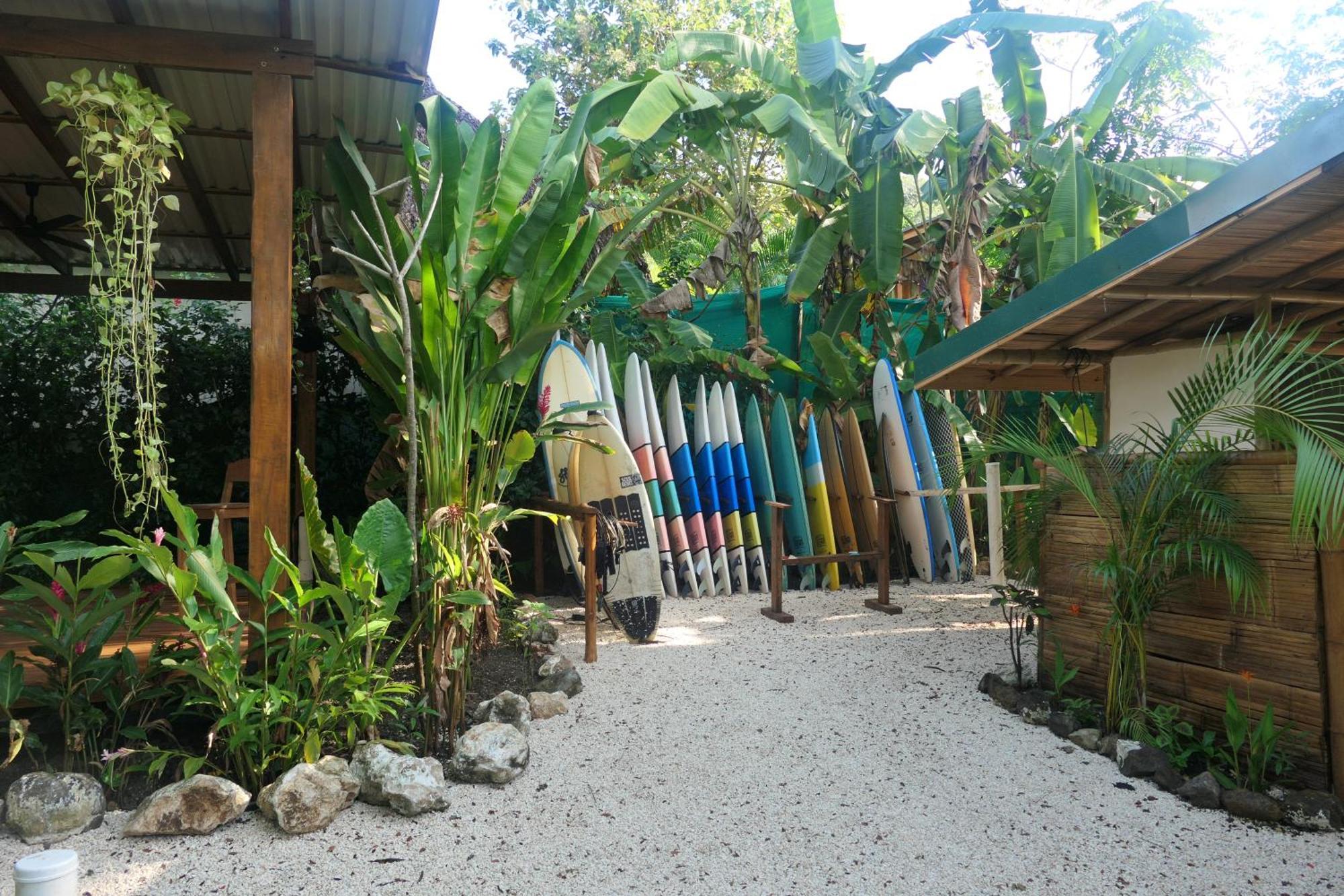 Dream Surf House Santa Teresa Hostel Playa Hermosa Cobano Exterior foto